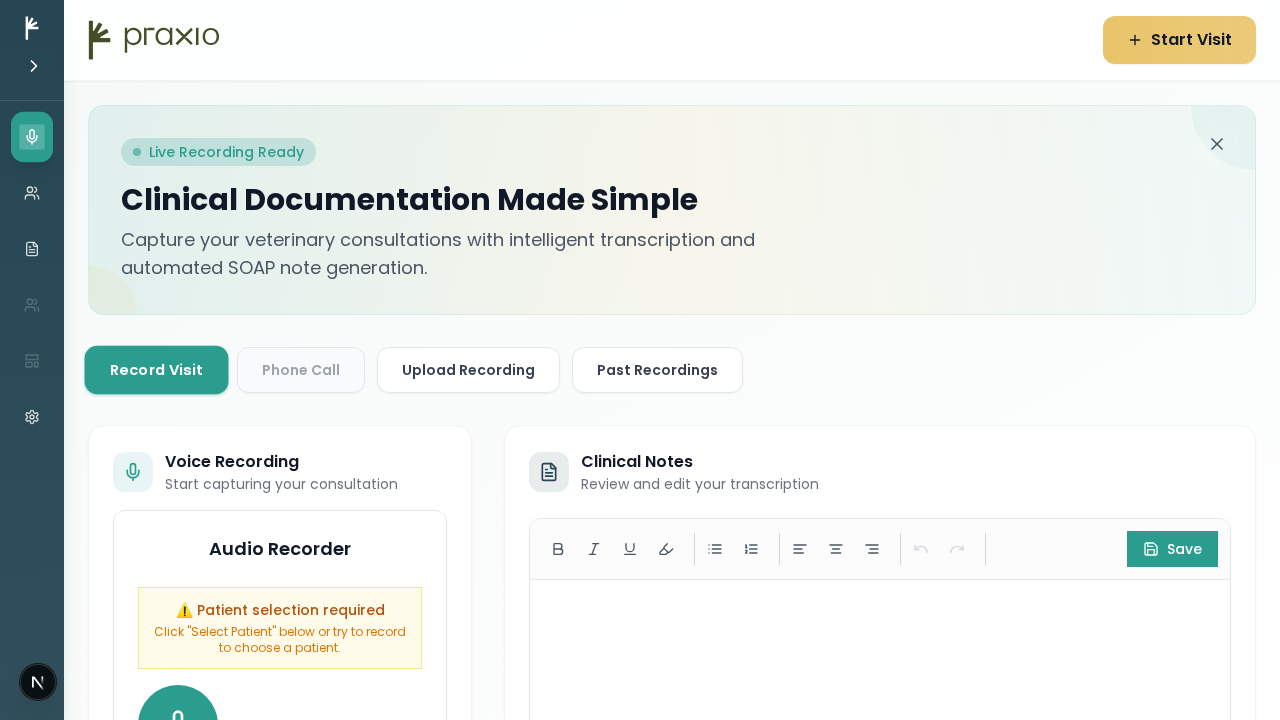 Scribing interface for generating clinical notes